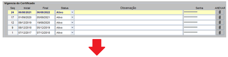 certificado - 0003